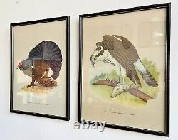 Pair of Vintage Bird Prints with Black Frames by Grant's