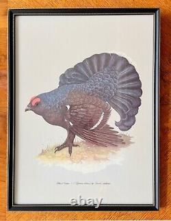 Pair of Vintage Bird Prints with Black Frames by Grant's