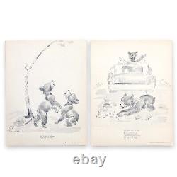 Pete Repete Bear Cubs Glacier National Ace Powell Set Of 12 Prints 50s/60s