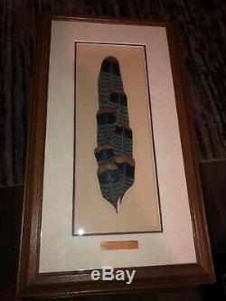 RARE NWTF Set Of 5 Framed Balsa Wood Carved Feathers