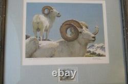 RARE SET North American Wild Sheep Prints & Stamps Swanson Bateman Carlson Kuhn