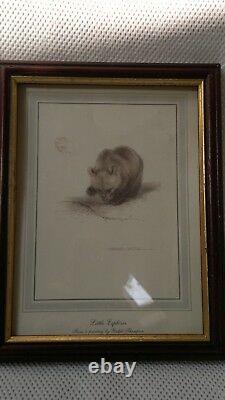 Rare HTF set of framed bear prints by Ralph Thompson