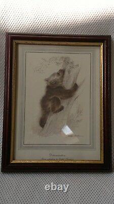 Rare HTF set of framed bear prints by Ralph Thompson