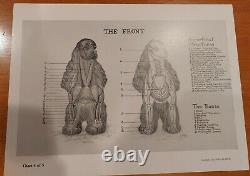 Rare Vintage Prints, Set of Five, Anatomy of The Dog, Robert F. Way VMD. MS, 1953