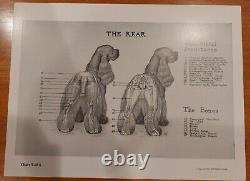 Rare Vintage Prints, Set of Five, Anatomy of The Dog, Robert F. Way VMD. MS, 1953