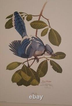 Ray Harm Bluejay & American Robin Signed #rd 115 Print-40 Year Old-mint-2 Prints