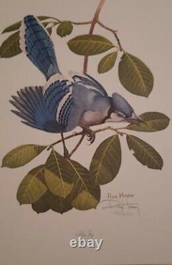 Ray Harm Bluejay & American Robin Signed #rd 115 Print-40 Year Old-mint-2 Prints