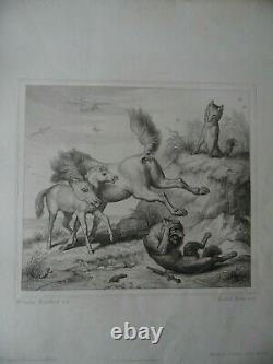 Reineke Fuchs Reynard the Fox Goethe. 27 German Etchings Kaulbach 1846 1st Ed