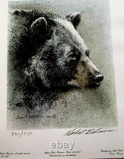 Robert BATEMAN Black Bear Predator 3 Print art set original Hand Coloured