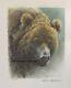 Robert Bateman Grizzly Bear Predator 3 Print Art Set Original Hand Coloured