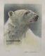 Robert Bateman Polar Bear Predator 3 Print Art Set Original Hand Coloured Signed