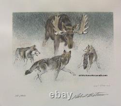 Robert BATEMAN Wolf Predator 3 Print art set LTD Edition original Hand Coloured