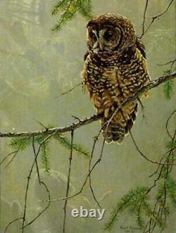 Robert Bateman Continuing Generations Spotted Owls s/n limited edition set