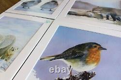 Robin painting Limited Edition Print by Award Winning Artist