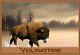 Set Of 7 Travel Posters Yellowstone Nt'l Park Wild Life Collection Wilderness