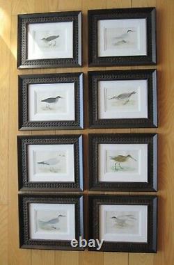 Set Of 8 Framed Vintage Antique Shore Birds Prints Wood & Wicker Frames Euc