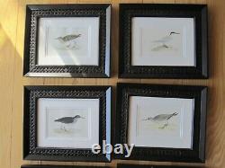 Set Of 8 Framed Vintage Antique Shore Birds Prints Wood & Wicker Frames Euc