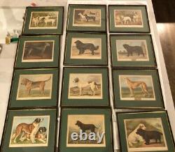 Set of 12 Dog Prints Cassell's Illustrated Book of the Dog