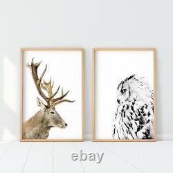 Set of 2 Owl and Deer Prints Woodland Animals Wall Art Poster Print. Great Decor