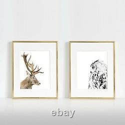Set of 2 Owl and Deer Prints Woodland Animals Wall Art Poster Print. Great Decor