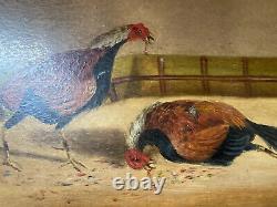 Set of 4 KILLER antique rooster prints after henry alken cock fight orig frames