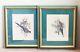 Set Of Two John Gould Hand Colored Bird Prints Beautifully Framed /hand Colored