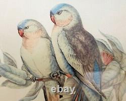 Set of Two John Gould Hand Colored Bird Prints Beautifully Framed /Hand Colored