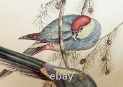 Set of Two John Gould Hand Colored Bird Prints Beautifully Framed /Hand Colored