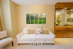 Spring Forest Trees on Canvas Wall Art 5 Panel Print Framed and Ready to Hang