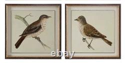 Spring Soldier Birds Framed Wall Art Prints Pictures Set Of 6 Uttermost 33627