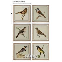 Spring Soldier Birds Framed Wall Art Prints Pictures Set Of 6 Uttermost 33627