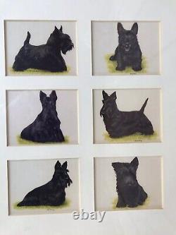 Terrier Dogs Tobacco Cards Full Set FRAMED Melanie Phillips Framed Imperial