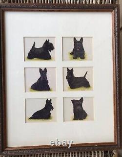 Terrier Dogs Tobacco Cards Full Set FRAMED Melanie Phillips Framed Imperial
