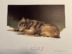 Timber Wolf Study Companions Morten Solberg Print Set Signed Numbered