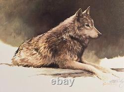 Timber Wolf Study Companions Morten Solberg Print Set Signed Numbered