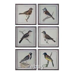 Uttermost 33627 Spring Soldiers 15 x 15 Art Prints Set of 6 Brown