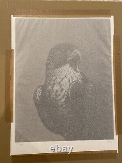 Vanessa Foley Peregrine Falcon Print Black Dragon Press Mondo A24 Artist