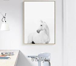 Wall Art Canvas Posters And Prints Animal White Horse Pictures Modern Home Decor