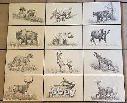 Western Wildlife Animal Prints by B. James Jokerst 1983 Set of 12 Framed art