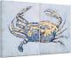 Yihui Arts Coastal Canvas Wall Art Set Of Two Hand Painted Blue And White Crab P